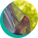 Insect Repellent System