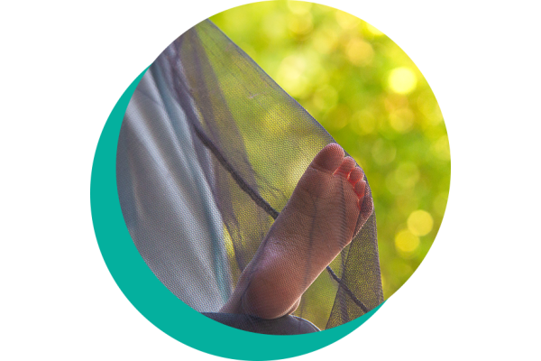 Insect Repellent System