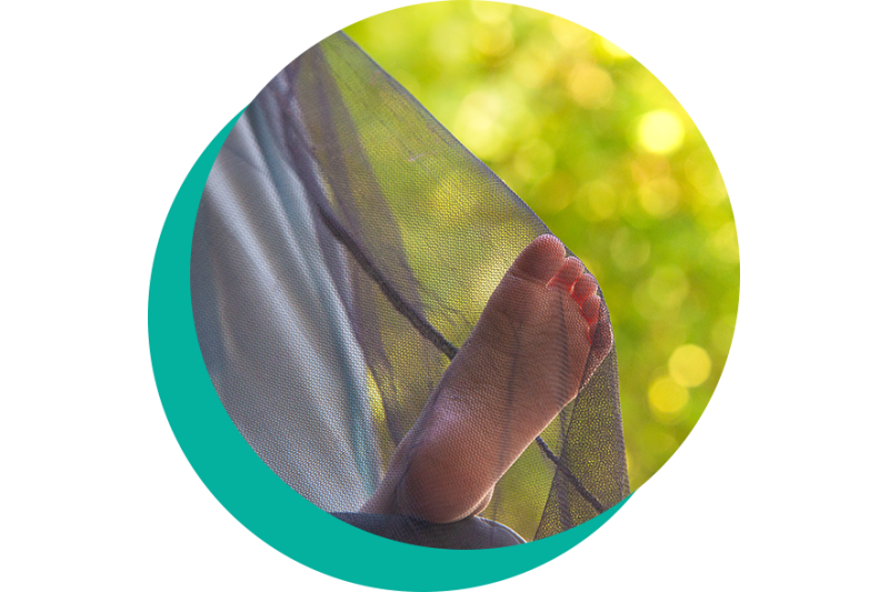 Insect Repellent System