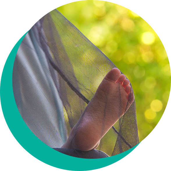 Insects Repellent System